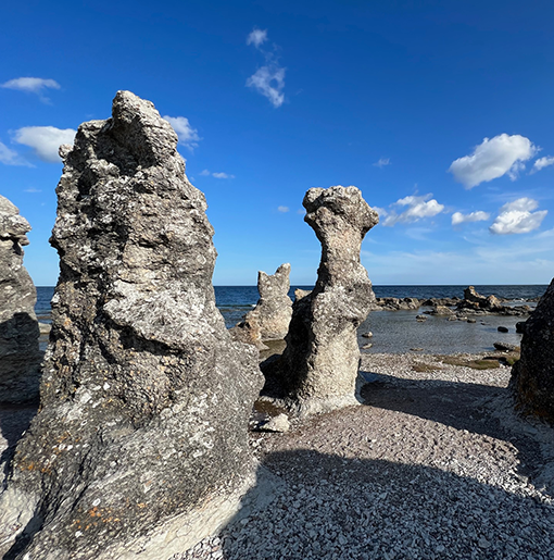 Häftiga raukar på Gotlands sydostkust